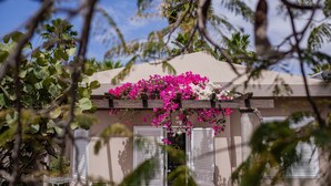 A building with a beige facade, white shutters, and pink bougainvillea flowers. - Caybeach Princess (San Bartolomé de Tirajana)