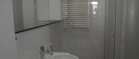 A bathroom with a white sink, a mirror, and a shower enclosure.