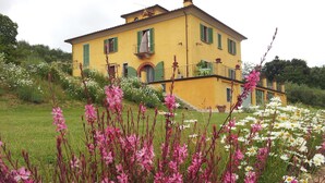A yellow building with green shutters, surrounded by a garden with pink flowers and white daisies. - Il Campano (Pescia)