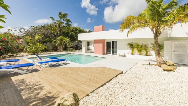 A modern house with a swimming pool, palm trees, and a wooden deck.