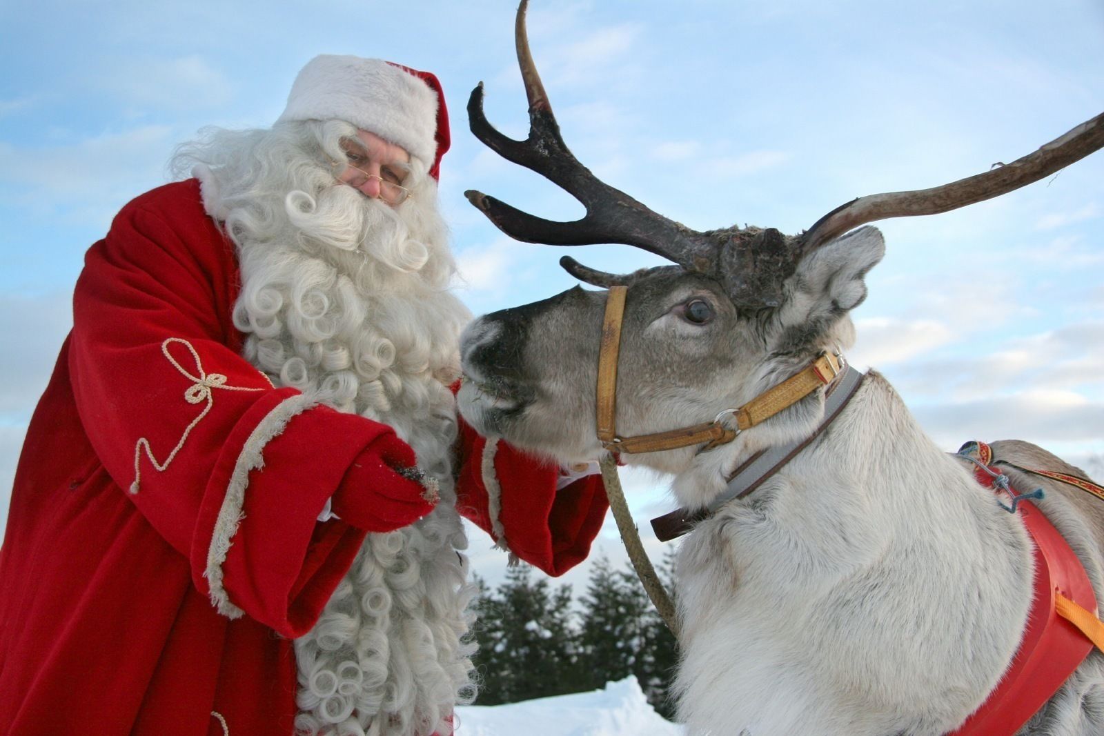 A person in a red coat with a white beard and a Santa hat standing next to a reindeer with antlers.