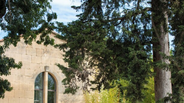 Exterior - Chambres D'hôtes Mas D'eymard (Arles)