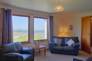 Flatskjerm-TV, peis og DVD-spiller