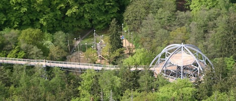 A forested area with a pedestrian bridge and a large, circular structure.