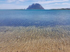 Una playa despejada con piedras a la vista y una montaña en la distancia.