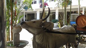 A bull statue with a water spout, surrounded by greenery and buildings in the background. - Hareesha Holiday Resort (Yakkalamulla)