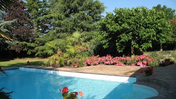 Outdoor pool, sun loungers