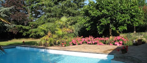 Outdoor pool, sun loungers