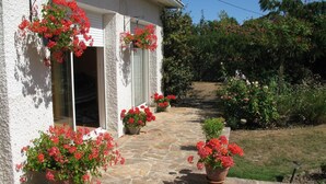 A house with a stone pathway leading to the entrance, surrounded by potted red flowers and lush greenery.