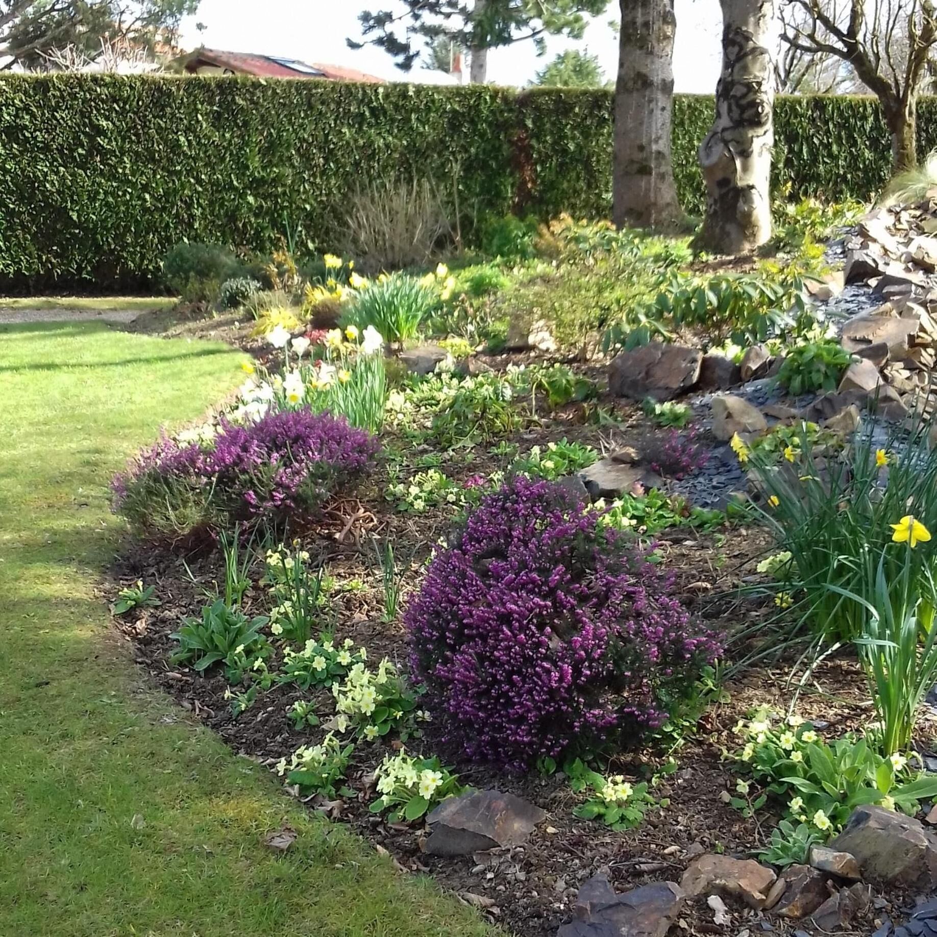 Un giardino con diverse piante e fiori, tra cui fiori viola e gialli, circondato da rocce e un siepe ben curata.