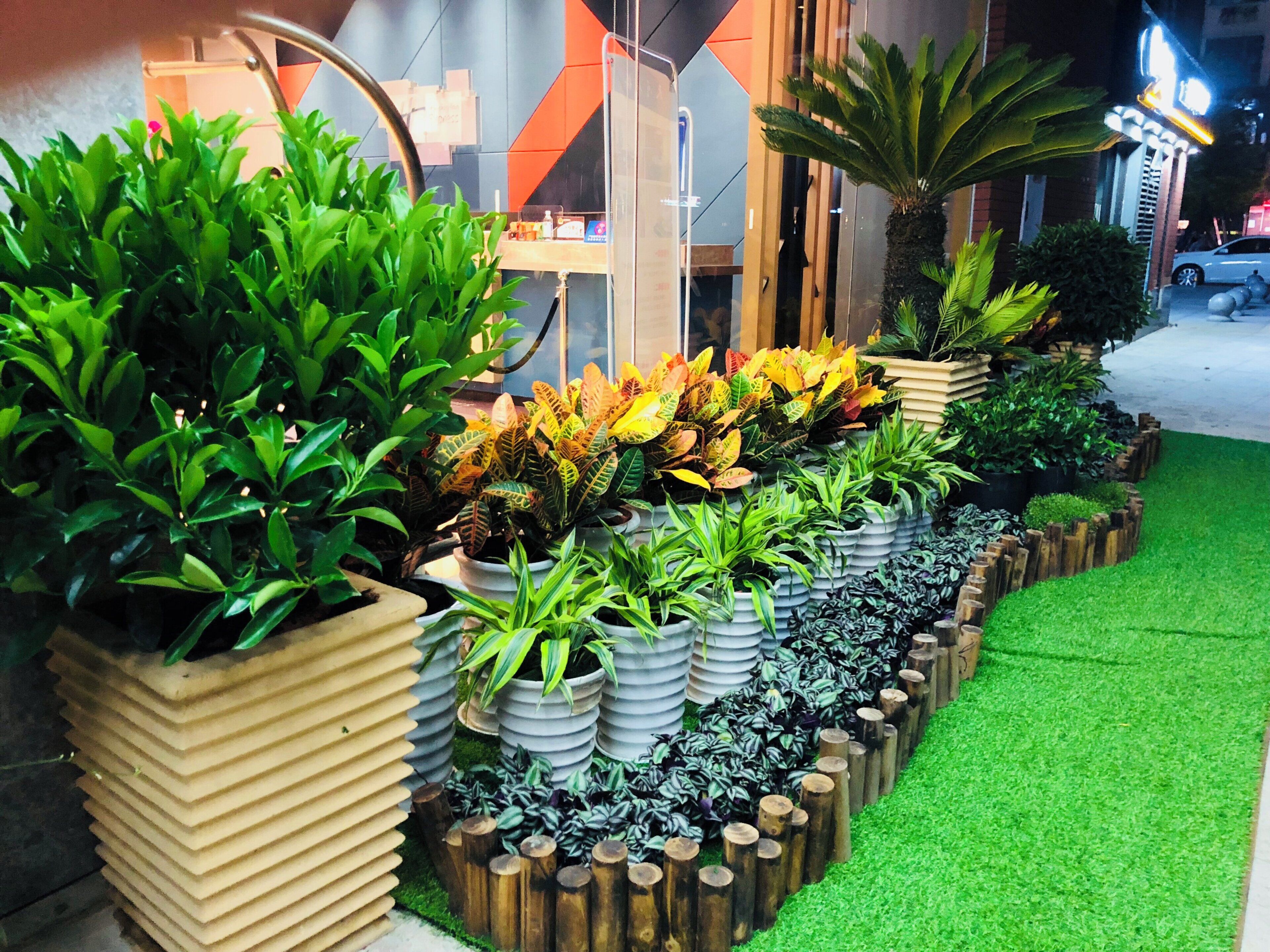 A row of potted plants with a variety of foliage, arranged in a tiered planter design.