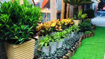 A row of potted plants with a variety of foliage, arranged in a tiered planter design.