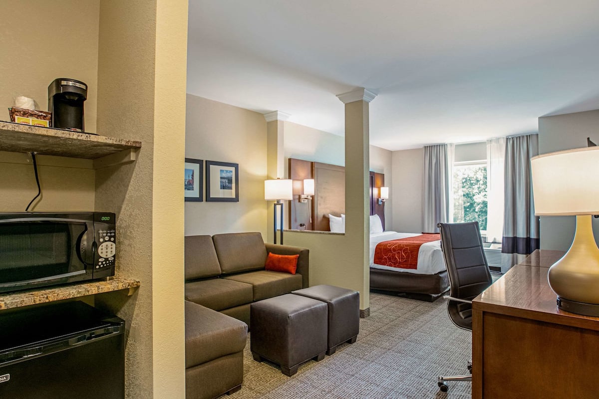 suite, 1 king bed, non smoking | egyptian cotton sheets, premium bedding, desk, laptop workspace