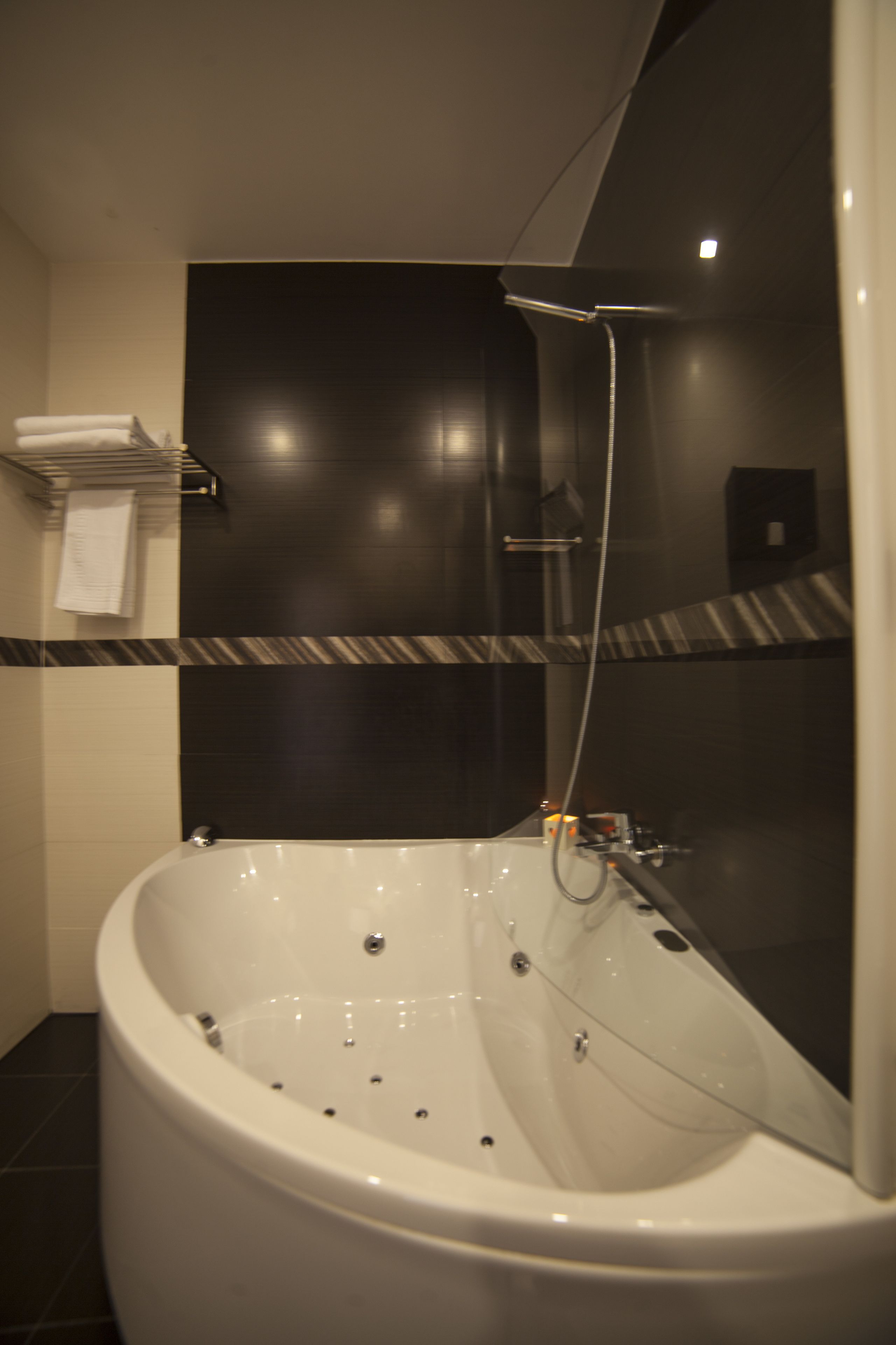 panoramic suite, river view | jetted bathtub