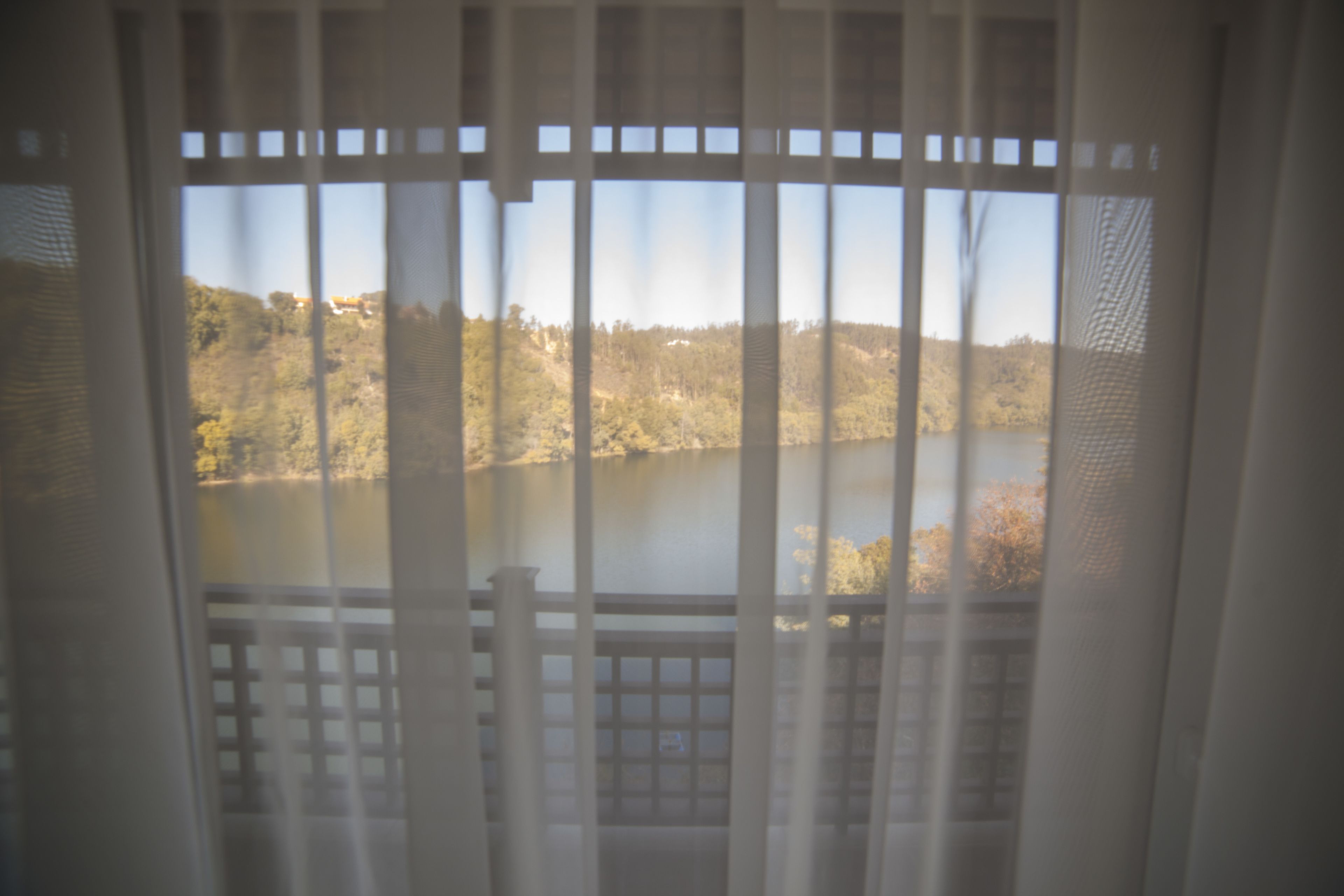 panoramic suite, river view | view from room