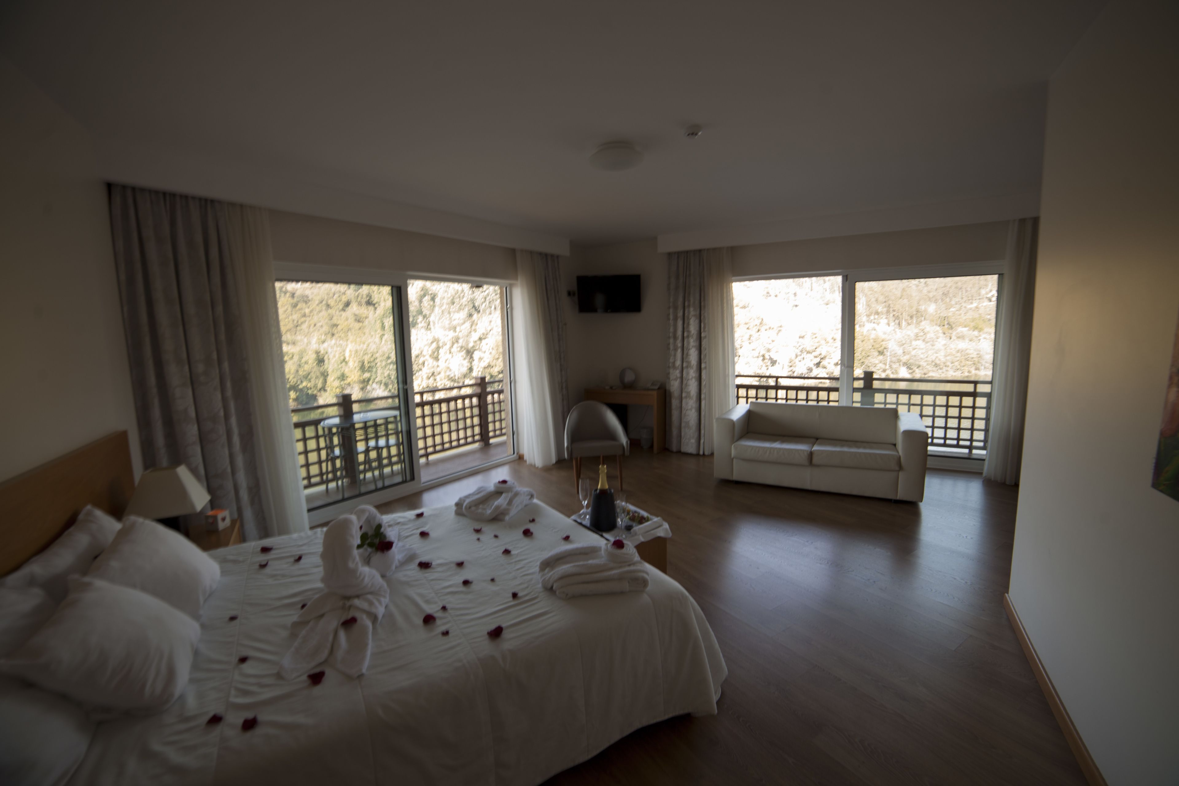 A hotel room with a large bed, a sofa, a TV, and a balcony with a view of trees.