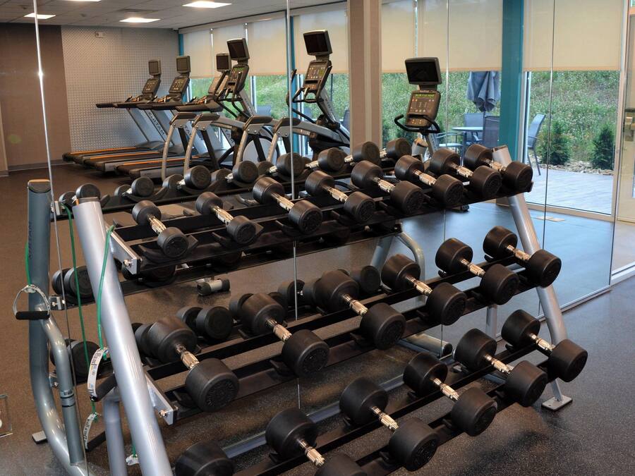 Uma academia com esteiras, um banco de musculação e uma estrutura com halteres.