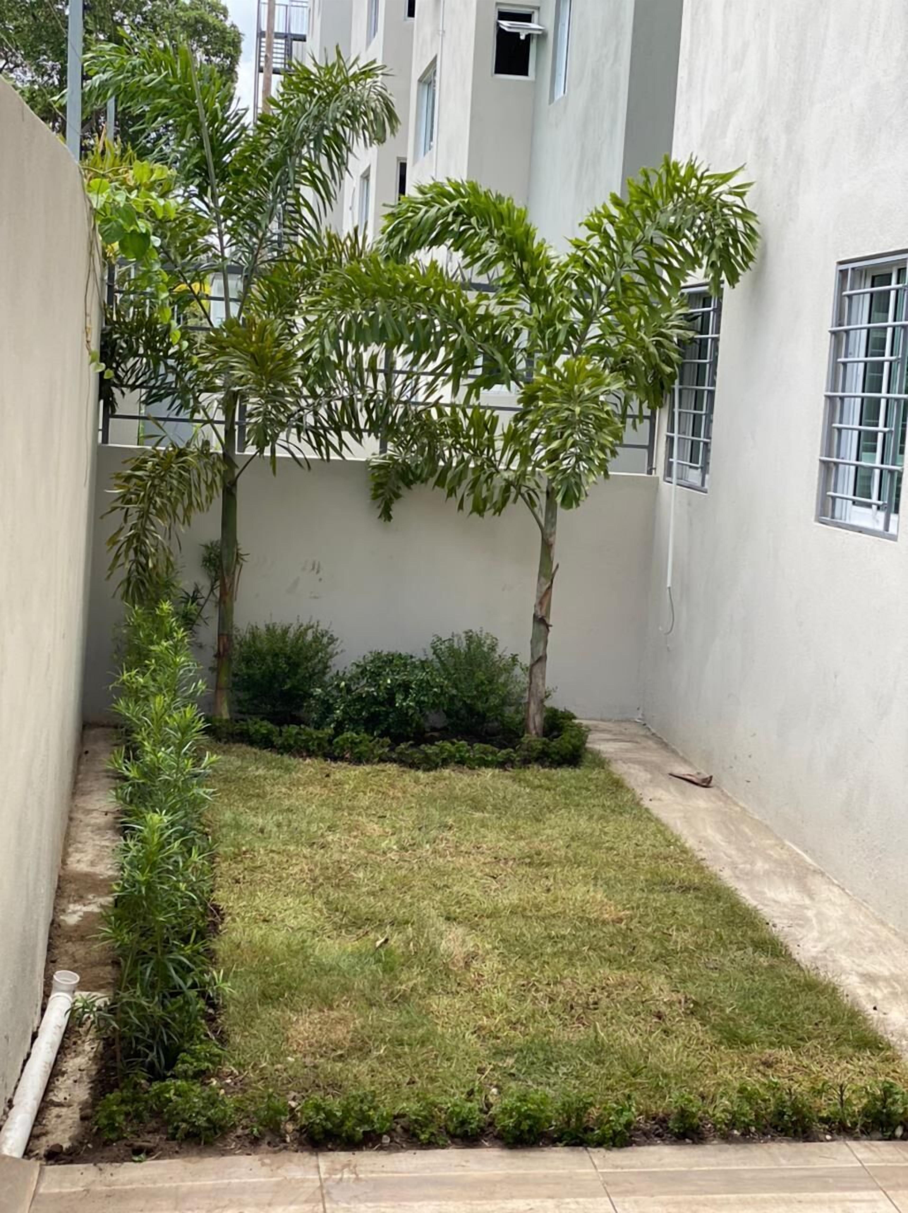A narrow courtyard with a small lawn, two trees, and a building with white walls and windows.