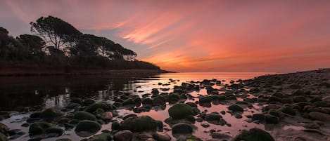Un atardecer sobre una costa rocosa con árboles al fondo.