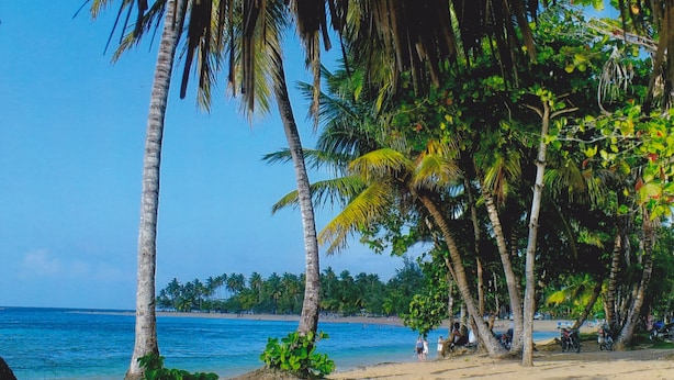 Plage à proximité, sable blanc