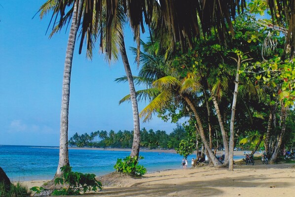 근처 해변, 백사장