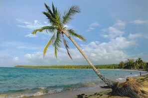 Pantai di sekitar dan pasir putih