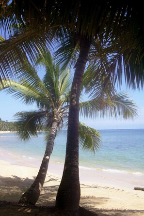 Pantai di sekitar dan pasir putih