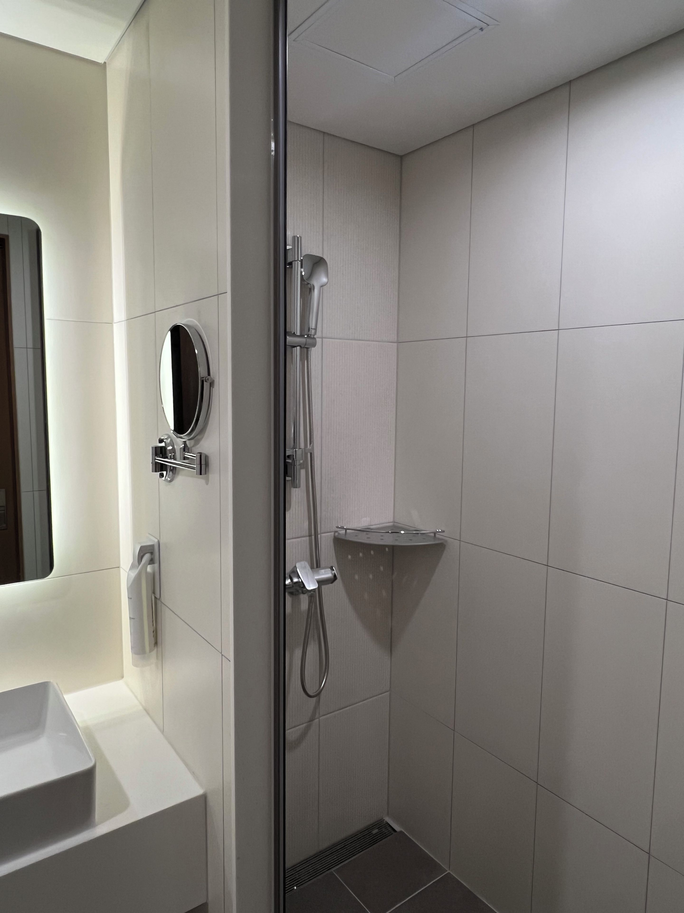 A modern bathroom with a shower, a mirror, and a sink.
