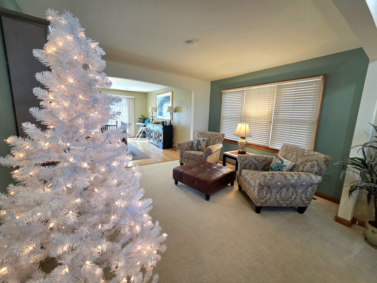 Smart TV, DVD player, books