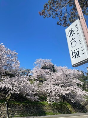 Placa do 'HOUSE HOTEL' com caracteres japoneses, uma parede de pedra e cerejeiras.