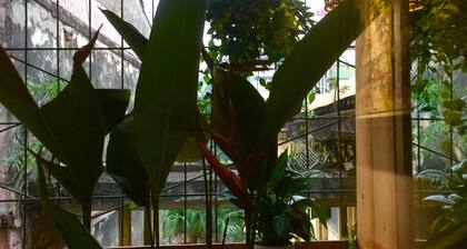 A Green Home