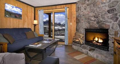 Geräumige haustierfreundliche Wohnung mit Aussicht, Kamin; Schritte zu den Pisten