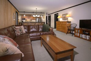 TV, fireplace, books