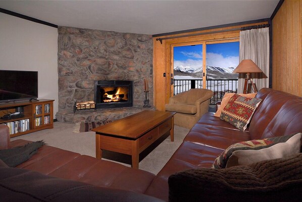 TV, fireplace, books