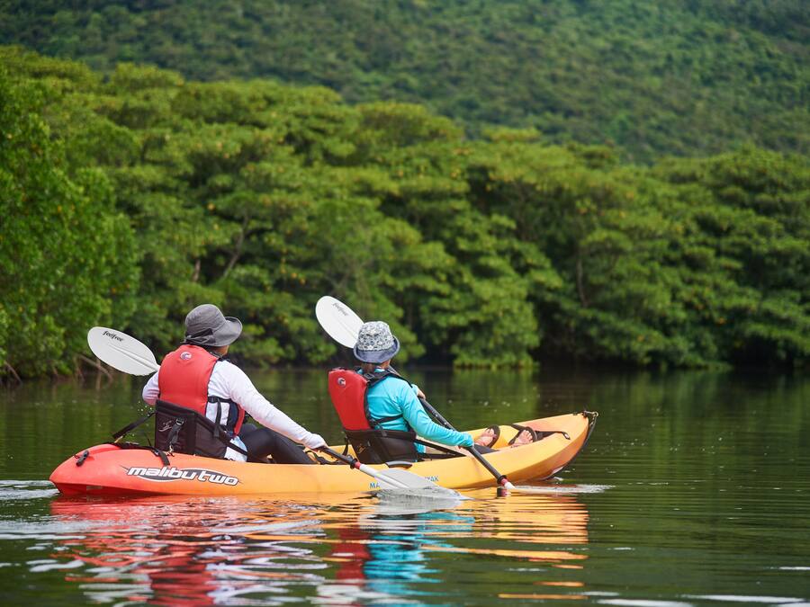 Dos personas hacen kayak en un río tranquilo rodeado de abundante vegetación.