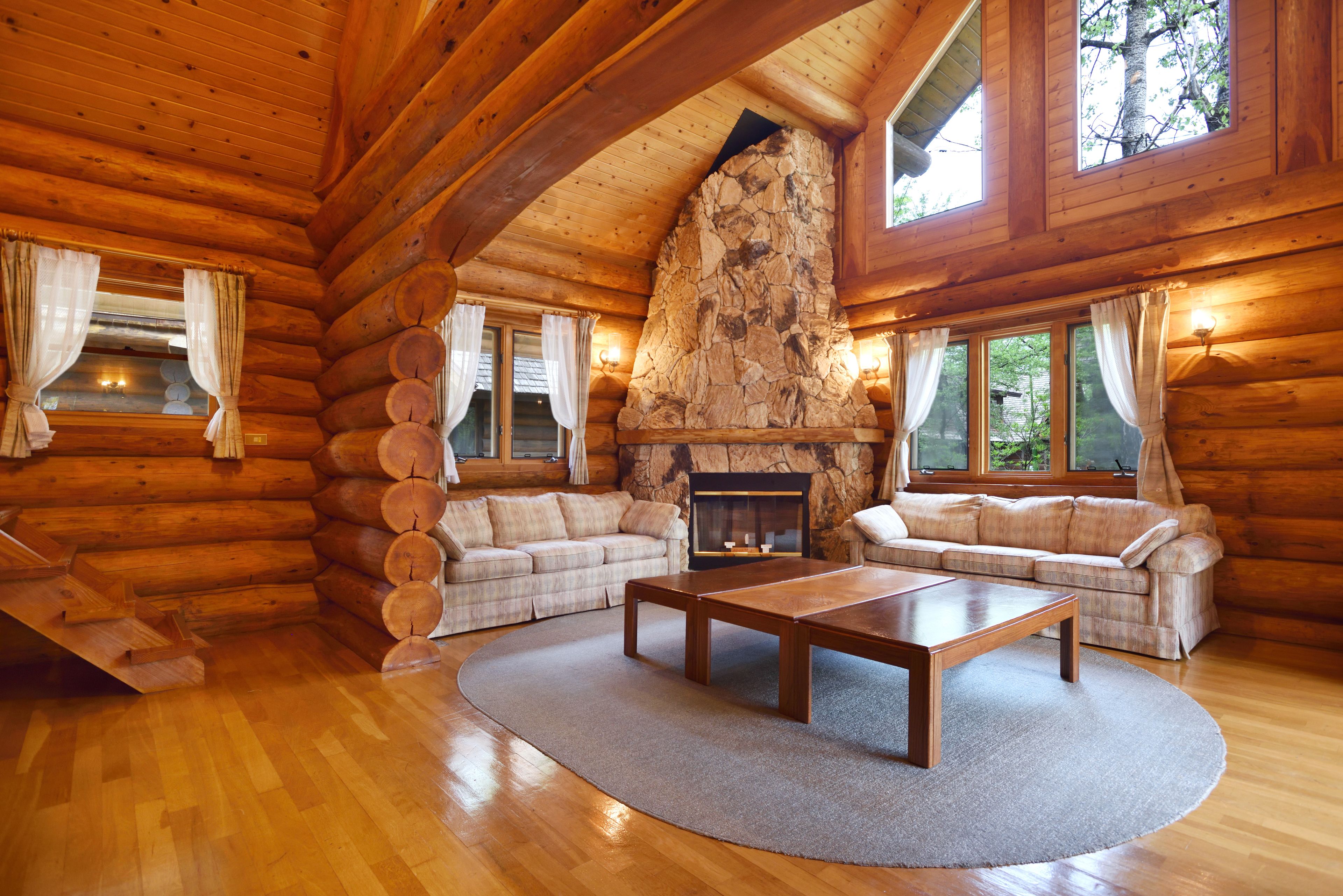 Deluxe Log house | Living area | Flat-screen TV