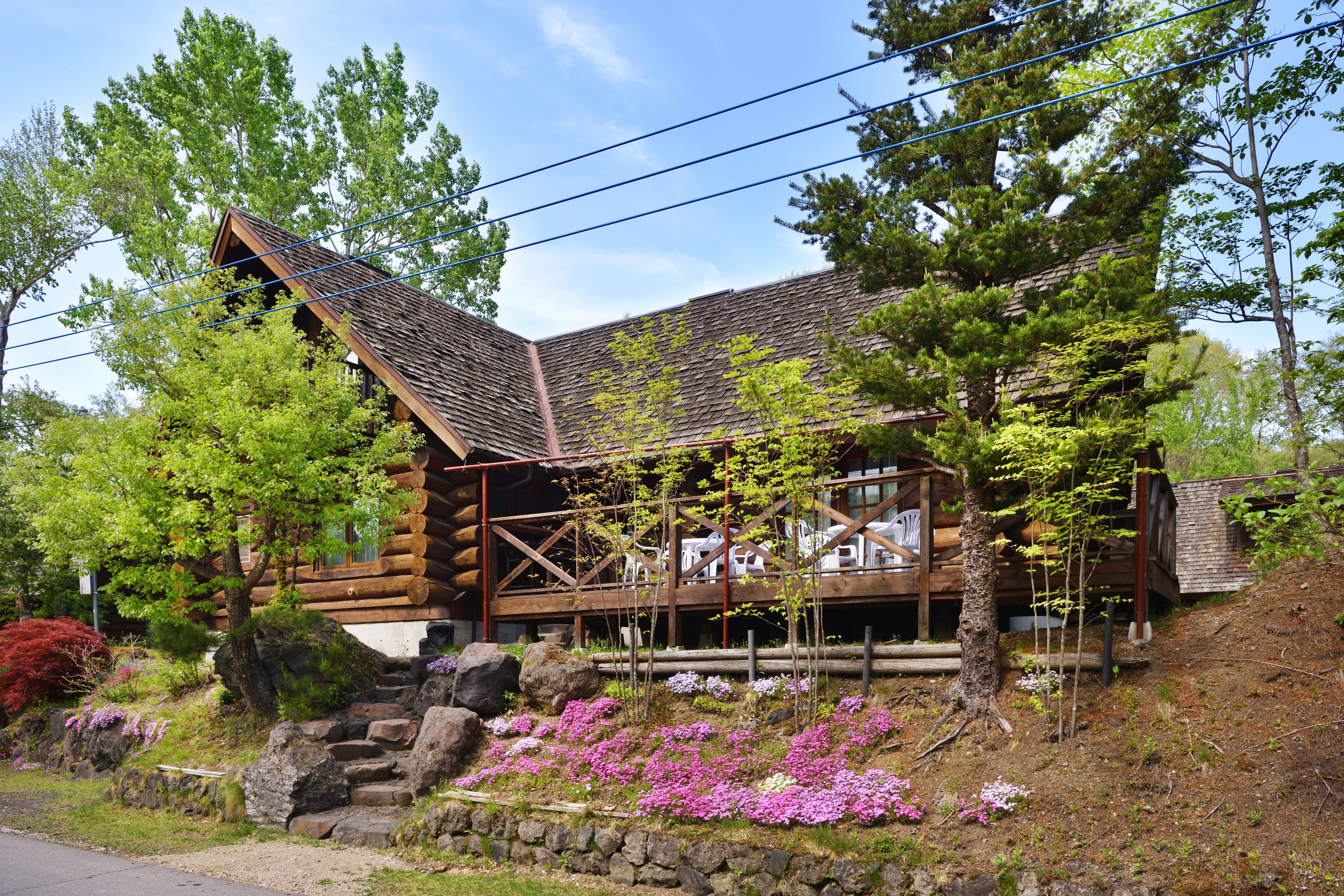 A log cabin with a sloped roof, surrounded by lush greenery and flowering plants.
