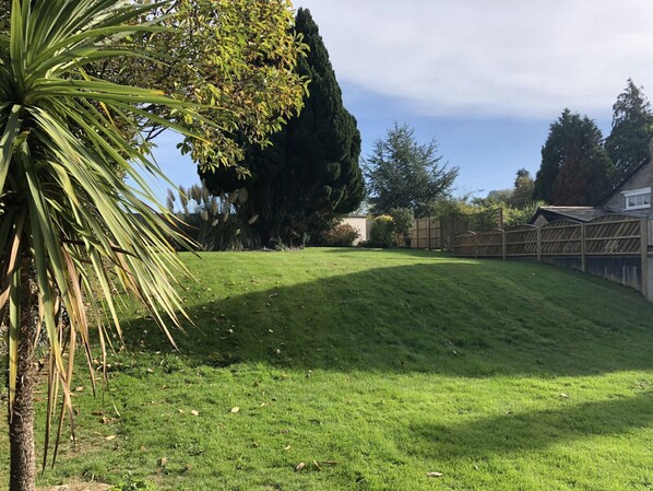 Zona verde bien cuidada con un árbol grande y una valla de madera.