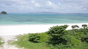 En strand med klart turkis vand, hvid sand og grøn vegetation.
