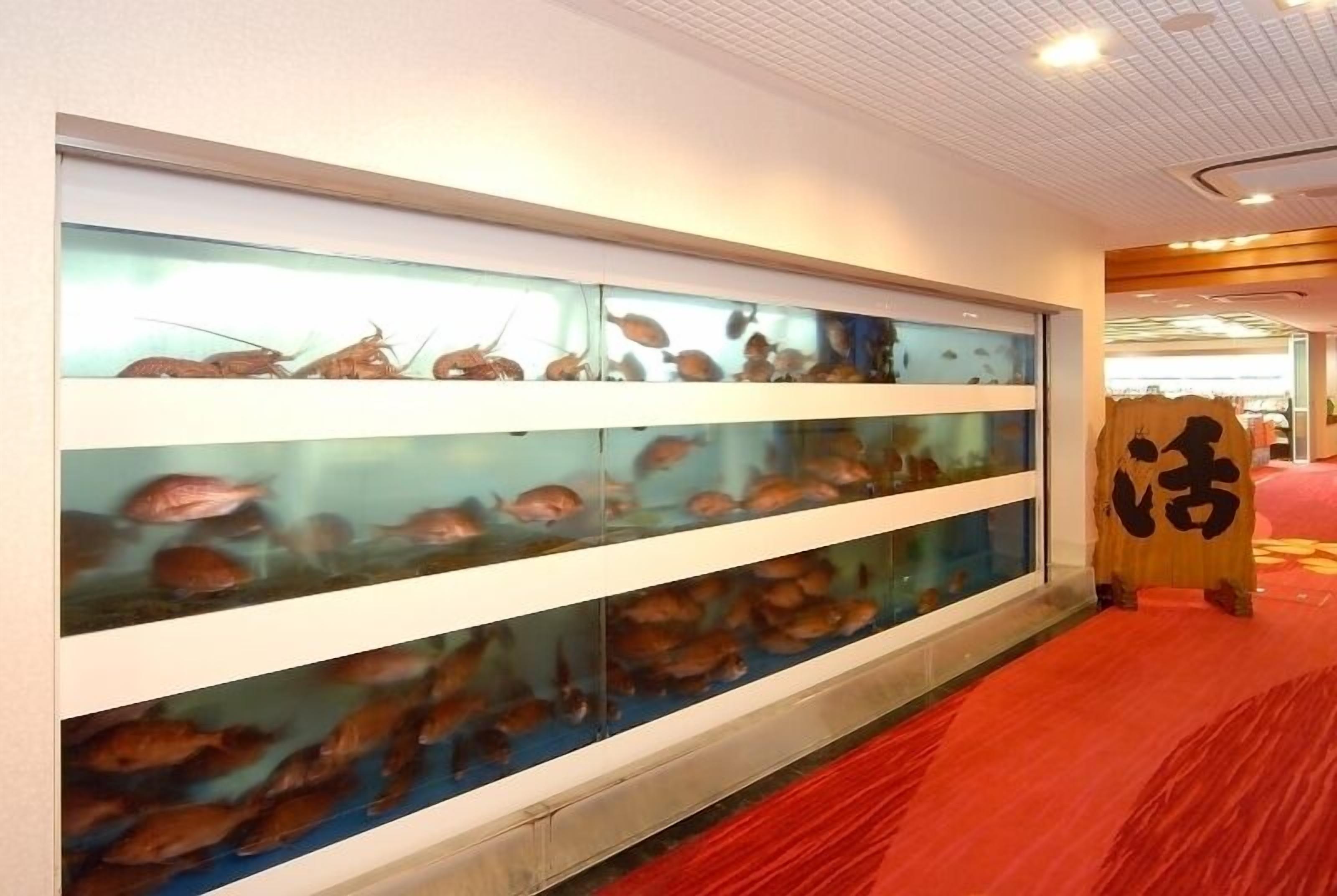 A wall with multiple aquariums displaying various fish species.