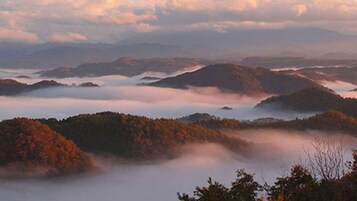 Un paisaje con colinas onduladas y una capa de niebla cubriendo los valles.
