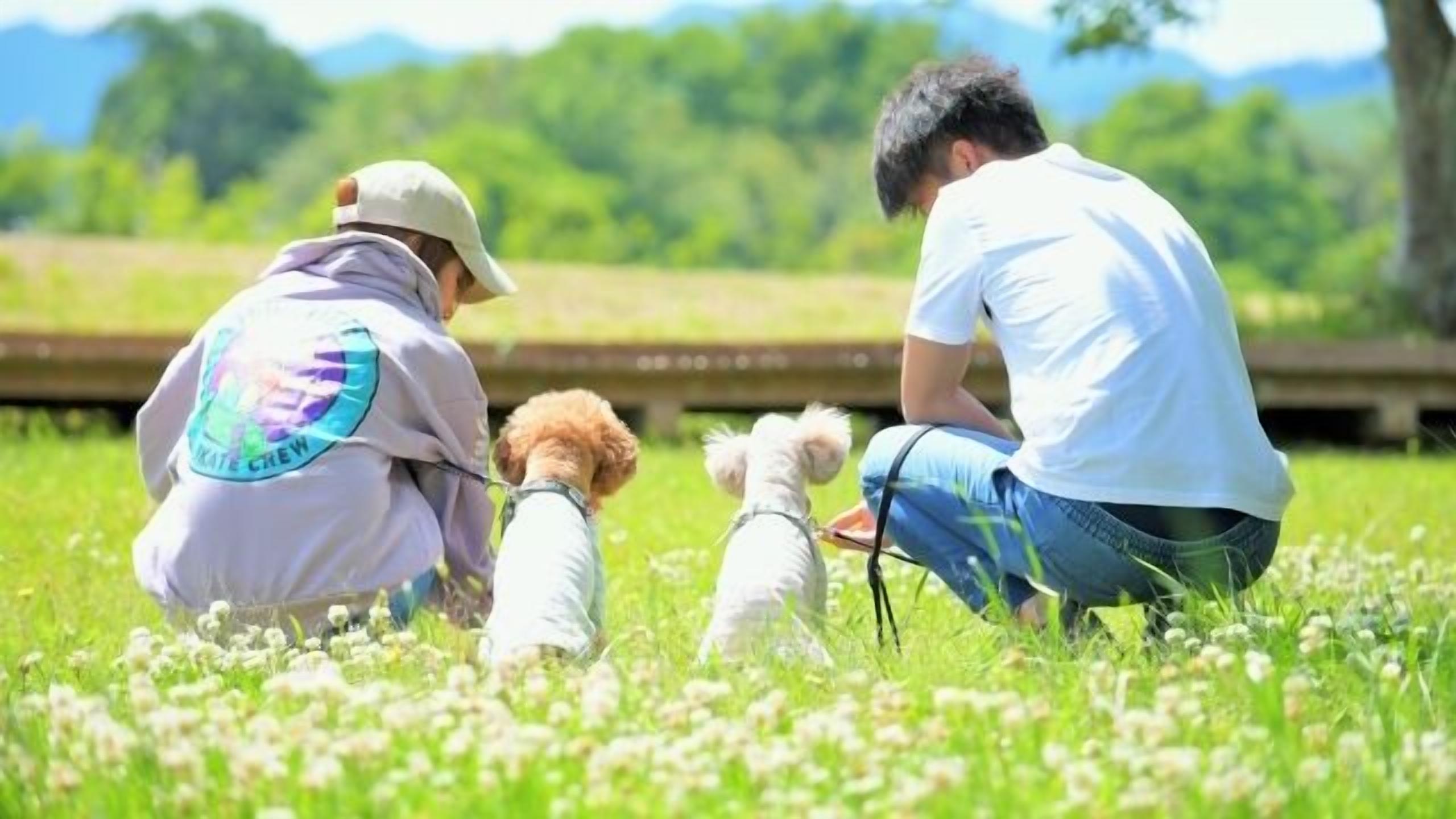 A person sitting on the grass with a dog.