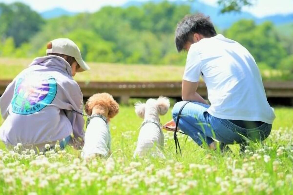 A person sitting on the grass with a dog.