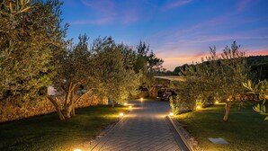 A paved pathway flanked by olive trees and stone walls, leading to a building with a covered entrance. - Lovely home in Dubrava with sauna (Dubrava)