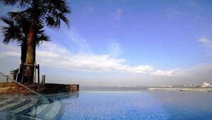 Una piscina infinita con vista despejada al océano y una palmera.