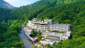 Un hôtel à plusieurs étages, entouré d’une forêt verdoyante, et une route où circulent des véhicules.
