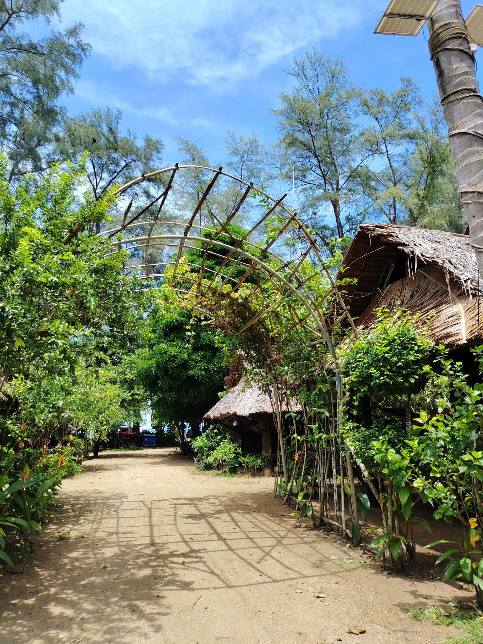A pathway flanked by bamboo structures and thatched-roof huts, leading through a lush, green environment.