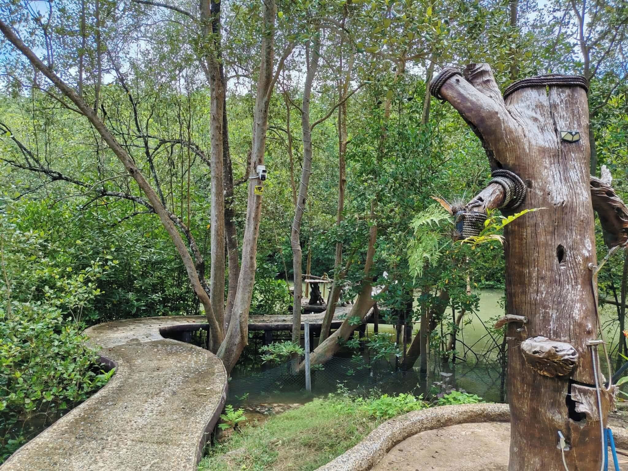 Un entorno natural con un camino de hormigón, estructuras de madera y abundante vegetación.