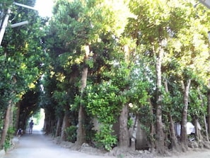 住宿景觀