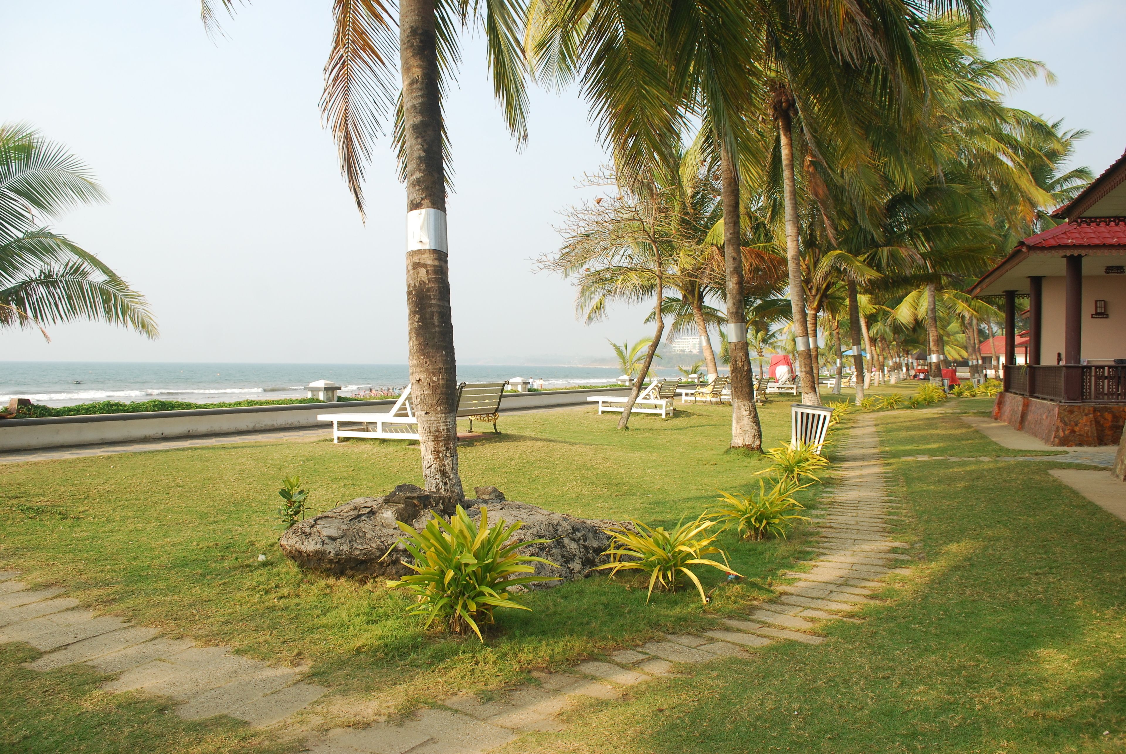 Terras